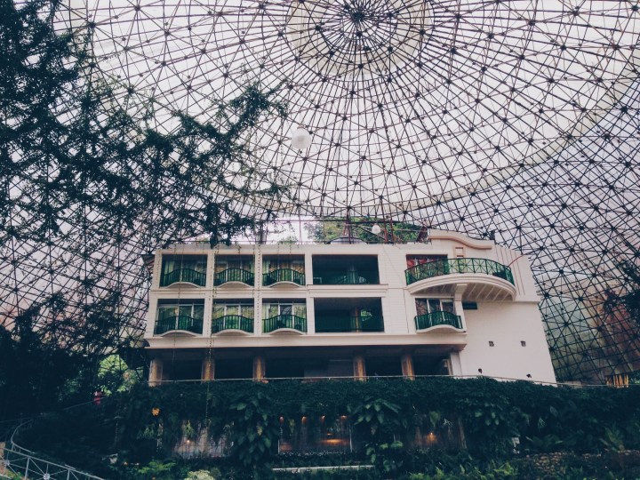 Processed with VSCO with hb1 preset