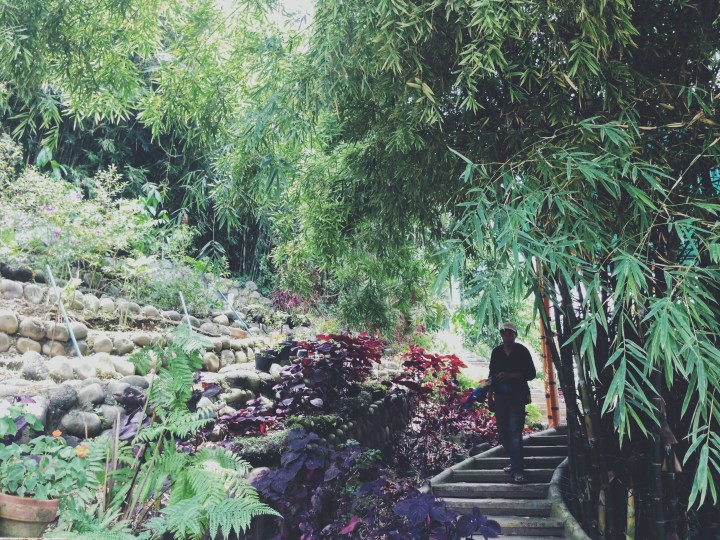 Processed with VSCO with f2 preset