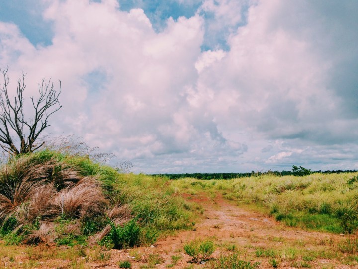 Processed with VSCO with c1 preset