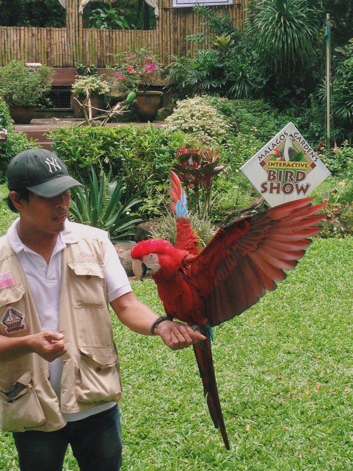 Processed with VSCO with c1 preset